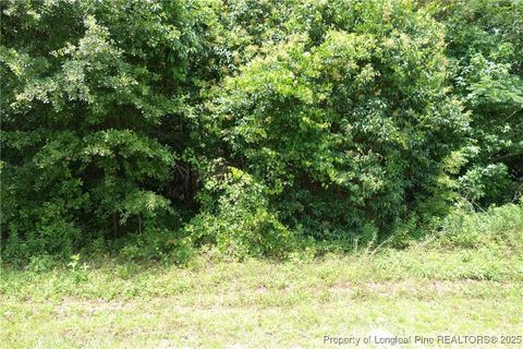 NC 41 Highway Fairmont NC 28340