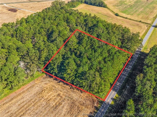 TBD EMMA JANE ROAD, ST. PAULS, NC 28384 - Image 7c75406c044db708175802b62c6aec35/2068446361