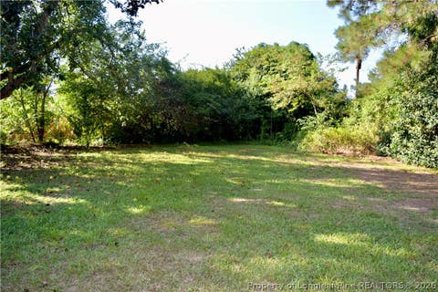 Tiny photo for 14740 Nc Highway 41 Highway S, Fairmont, NC 28340 (MLS # 767218)