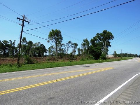 Tiny photo for TBD NC Hwy 71 Highway, Red Springs, NC 28377 (MLS # 754308)