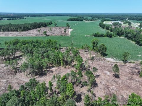 Tiny photo for TBD NC Hwy 71 Highway, Red Springs, NC 28377 (MLS # 754308)