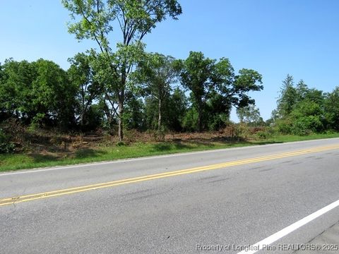 Tiny photo for TBD NC Hwy 71 Highway, Red Springs, NC 28377 (MLS # 754308)