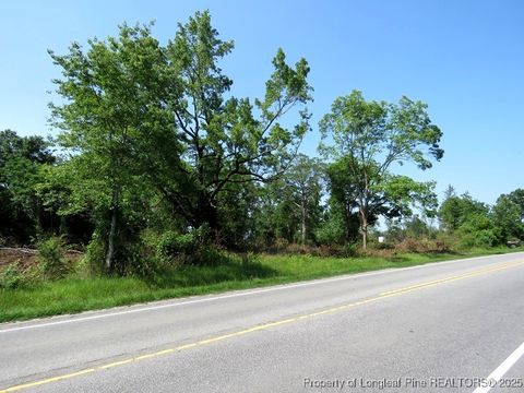 Tiny photo for TBD NC Hwy 71 Highway, Red Springs, NC 28377 (MLS # 754308)