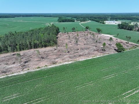 Tiny photo for TBD NC Hwy 71 Highway, Red Springs, NC 28377 (MLS # 754308)