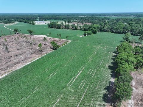 Tiny photo for TBD NC Hwy 71 Highway, Red Springs, NC 28377 (MLS # 754308)