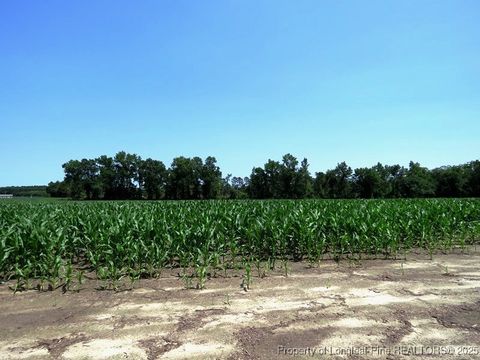Tiny photo for TBD NC Hwy 71 Highway, Red Springs, NC 28377 (MLS # 754308)