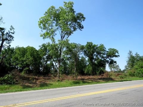 Tiny photo for TBD NC Hwy 71 Highway, Red Springs, NC 28377 (MLS # 754308)