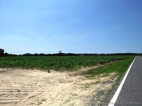 Tiny photo for TBD NC Hwy 71 Highway, Red Springs, NC 28377 (MLS # 754308)