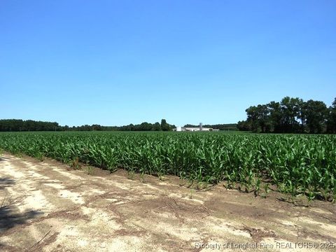 Tiny photo for TBD NC Hwy 71 Highway, Red Springs, NC 28377 (MLS # 754308)