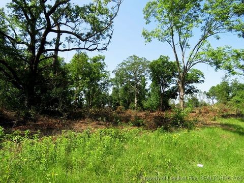 Tiny photo for TBD NC Hwy 71 Highway, Red Springs, NC 28377 (MLS # 754308)