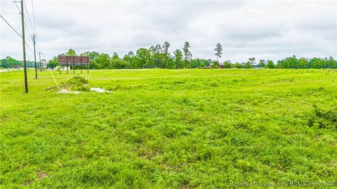 Tiny photo for TBD US -1 Highway, Vass, NC 28394 (MLS # 750794)