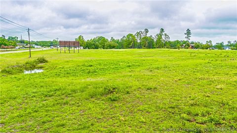 Tiny photo for TBD US -1 Highway, Vass, NC 28394 (MLS # 750794)