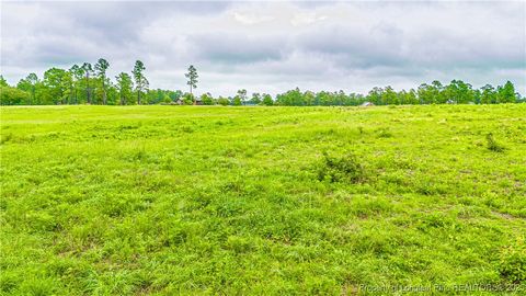 Tiny photo for TBD US -1 Highway, Vass, NC 28394 (MLS # 750794)