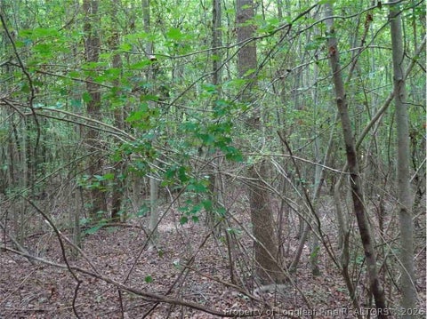 Tiny photo for 000 Giles Road, Linden, NC 28356 (MLS # 769595)