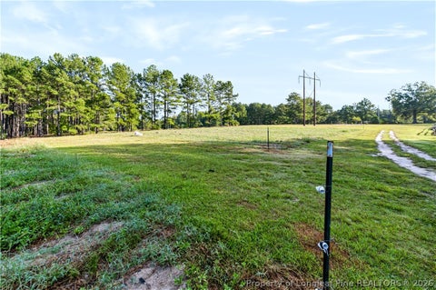 Tiny photo for 332 & 338 Docs Road, Lillington, NC 27546 (MLS # 769502)