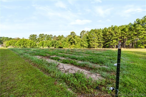 Tiny photo for 332 & 338 Docs Road, Lillington, NC 27546 (MLS # 769502)