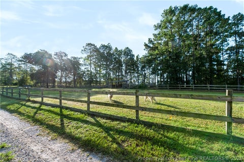 Tiny photo for 332 & 338 Docs Road, Lillington, NC 27546 (MLS # 769502)