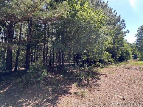 Tiny photo for 179 Woods Edge Lane, Erwin, NC 28339 (MLS # 744890)