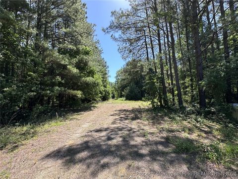 Tiny photo for 179 Woods Edge Lane, Erwin, NC 28339 (MLS # 744890)