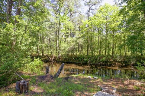 Tiny photo for 168 Riverview Drive, Vass, NC 28394 (MLS # 762431)