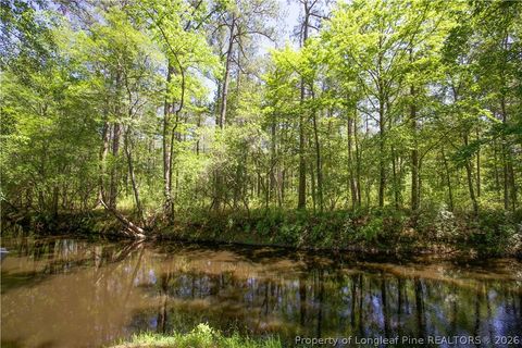 Tiny photo for 168 Riverview Drive, Vass, NC 28394 (MLS # 762431)