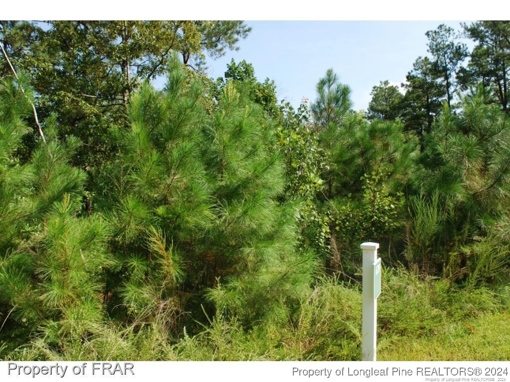 222 Broadlake (639) Lane