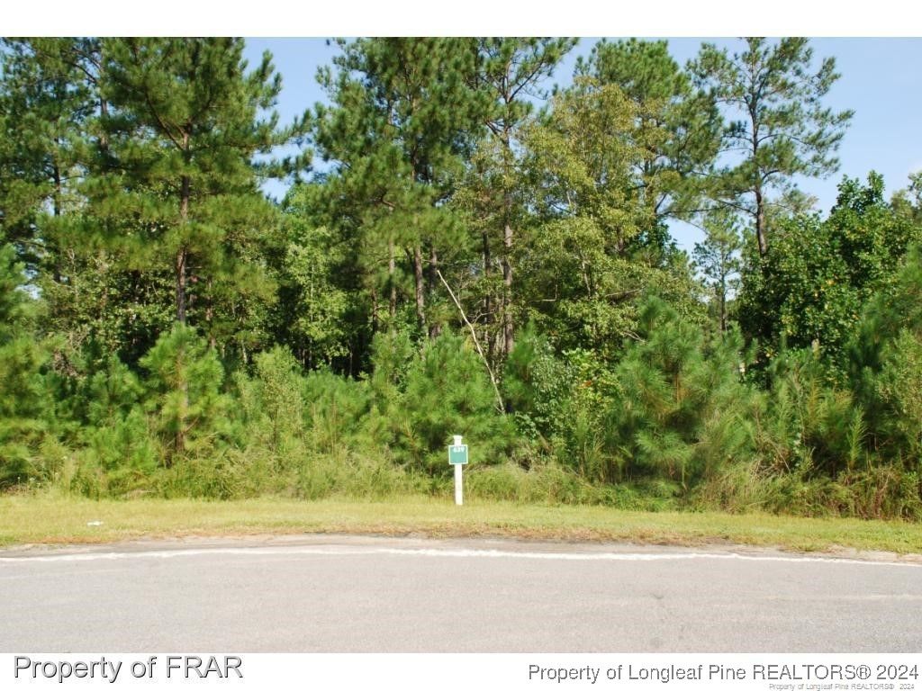 Photo of 222 Broadlake (639) Lane, Spring Lake, NC 28390 (MLS # 734544)