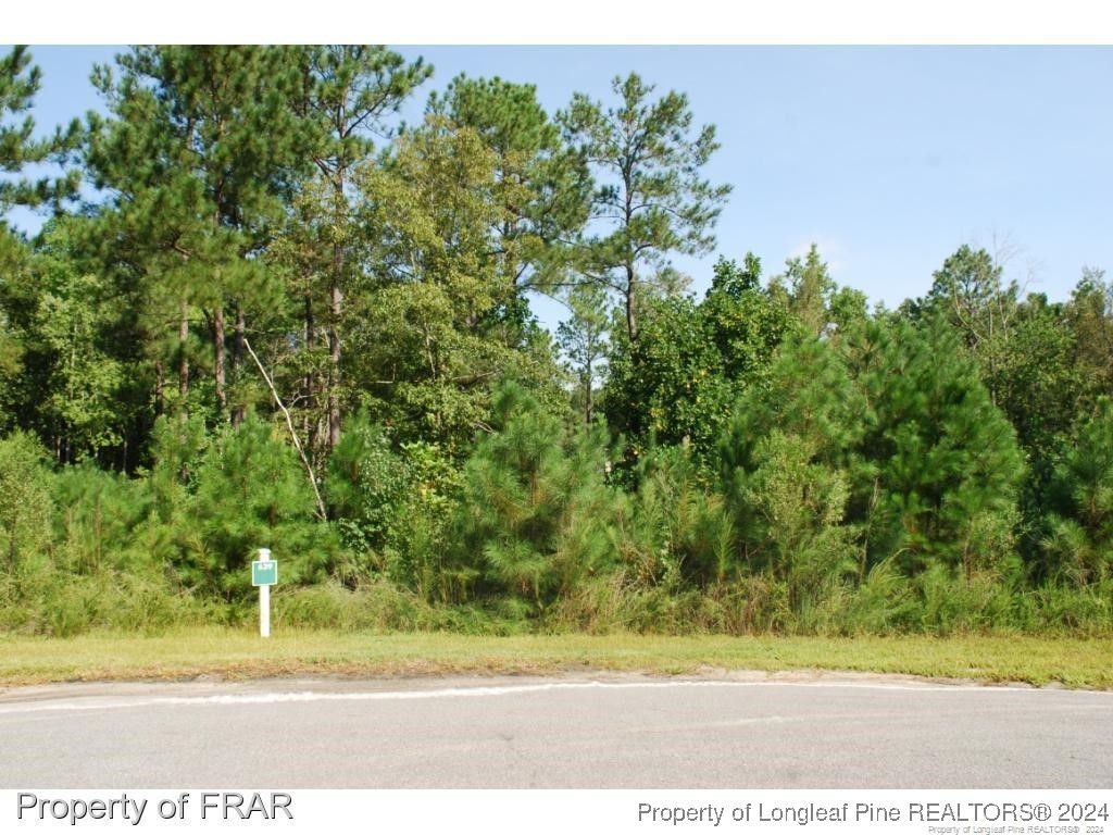 Photo of 222 Broadlake (639) Lane, Spring Lake, NC 28390 (MLS # 734544)