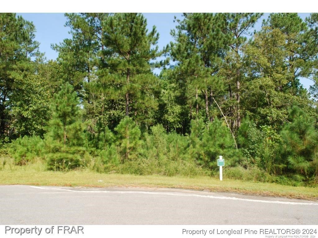 Photo of 222 Broadlake (639) Lane, Spring Lake, NC 28390 (MLS # 734544)