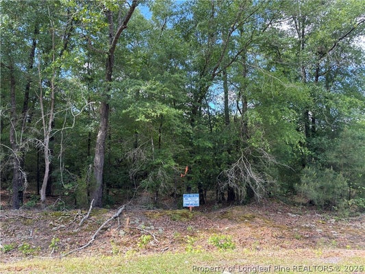JOHNSON RD, FAYETTEVILLE, NC 28312 - Image 803d7e3e9d69ffdce6aaa250f6d61851/1456358244