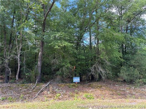 Photo of Johnson Road, Fayetteville, NC 28312 (MLS # 763635)