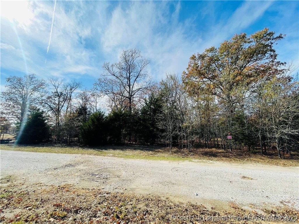 26.5 Acres McIntyre Land