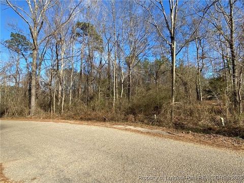 Tiny photo for 26.5 Acres McIntyre Land, Fayetteville, NC 28301 (MLS # 750895)