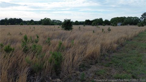 Photo of Lot 5 Fairley Road, Maxton, NC 28364 (MLS # 762294)