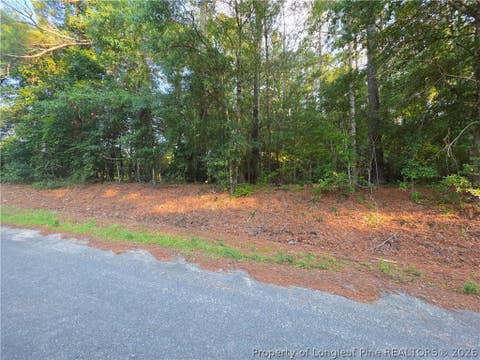 Tiny photo for 0 Eastman PIN: 857215742398 Road, Southern Pines, NC 28387 (MLS # 766589)
