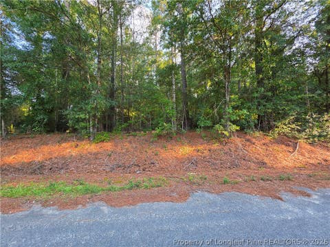 Tiny photo for 0 Eastman PIN: 857215742398 Road, Southern Pines, NC 28387 (MLS # 766589)