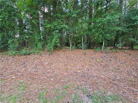 Tiny photo for 0 Eastman PIN: 857215742398 Road, Southern Pines, NC 28387 (MLS # 766589)