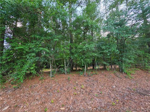Tiny photo for 0 Eastman PIN: 857215742398 Road, Southern Pines, NC 28387 (MLS # 766589)