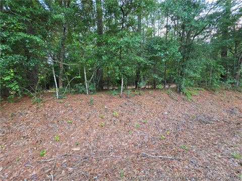 Tiny photo for 0 Eastman PIN: 857215742398 Road, Southern Pines, NC 28387 (MLS # 766589)