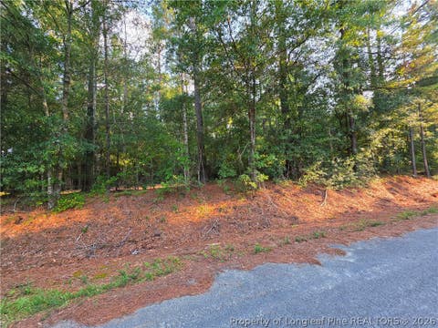 Tiny photo for 0 Eastman PIN: 857215742398 Road, Southern Pines, NC 28387 (MLS # 766589)