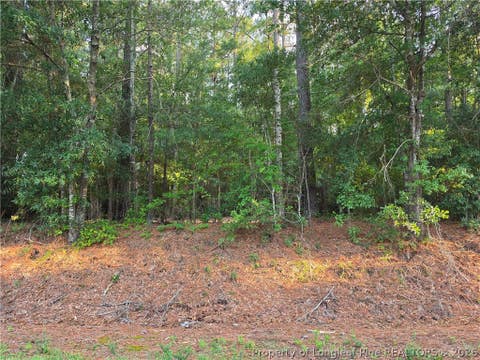 Tiny photo for 0 Eastman PIN: 857215742398 Road, Southern Pines, NC 28387 (MLS # 766589)
