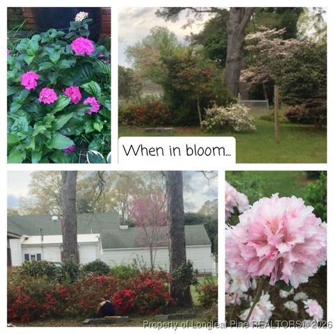 Tiny photo for 415 E 3rd Avenue, Red Springs, NC 28377 (MLS # 756787)