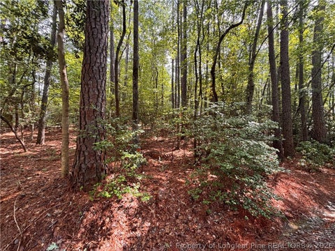 Tiny photo for 1452 CAROLINA Drive, Sanford, NC 27332 (MLS # 767983)