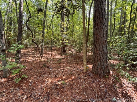 Tiny photo for 1452 CAROLINA Drive, Sanford, NC 27332 (MLS # 767983)