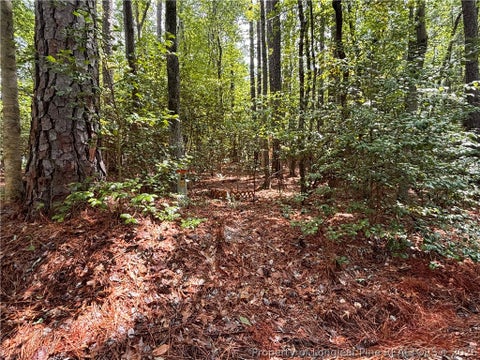 Tiny photo for 1452 CAROLINA Drive, Sanford, NC 27332 (MLS # 767983)
