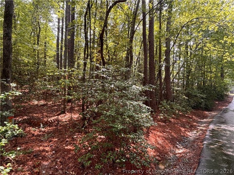 Photo of 1452 CAROLINA Drive, Sanford, NC 27332 (MLS # 767983)