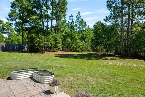 Tiny photo for 32 Basket Oak Drive, Bunnlevel, NC 28323 (MLS # 769565)