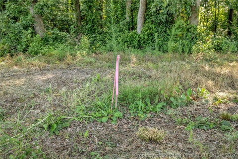 Tiny photo for 00 Laia Hills (Lot 4) Road, Siler City, NC 27344 (MLS # 767618)