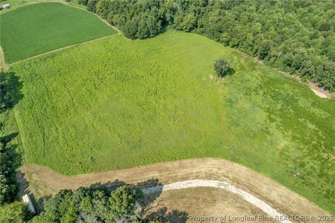 Tiny photo for 00 Laia Hills (Lot 4) Road, Siler City, NC 27344 (MLS # 767618)