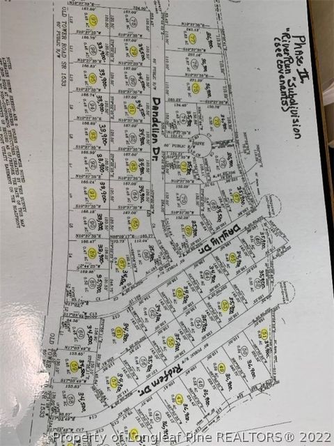 DANDELION Drive Lumberton NC 28360